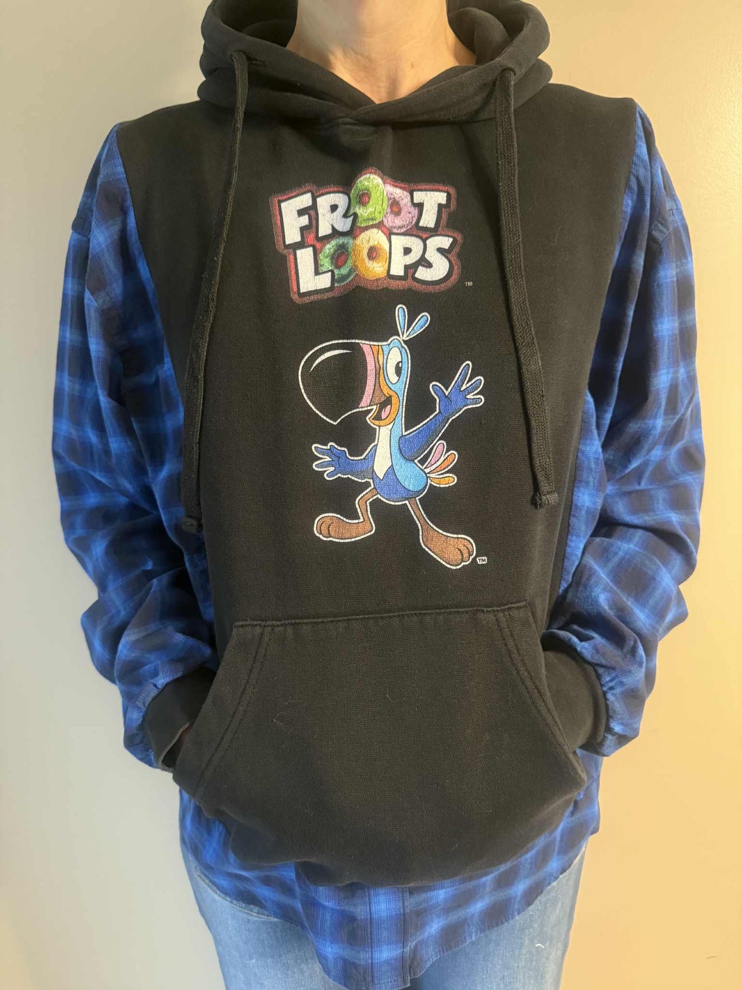 Upcycled Hoodie / Sweatshirt - Froot Loops (Medium)