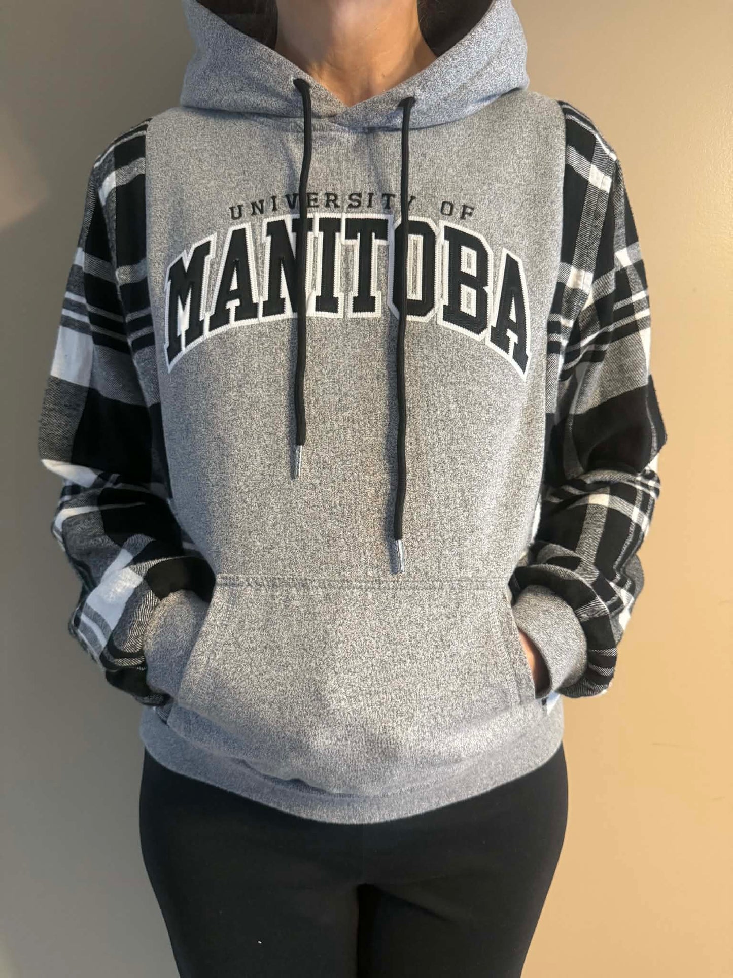 Upcycled Hoodie / Sweatshirt - U of M (Small)